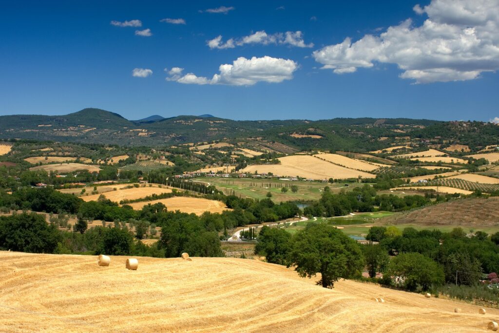 panorama maremmano estivo